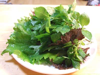 sisosyuukaku300.jpg